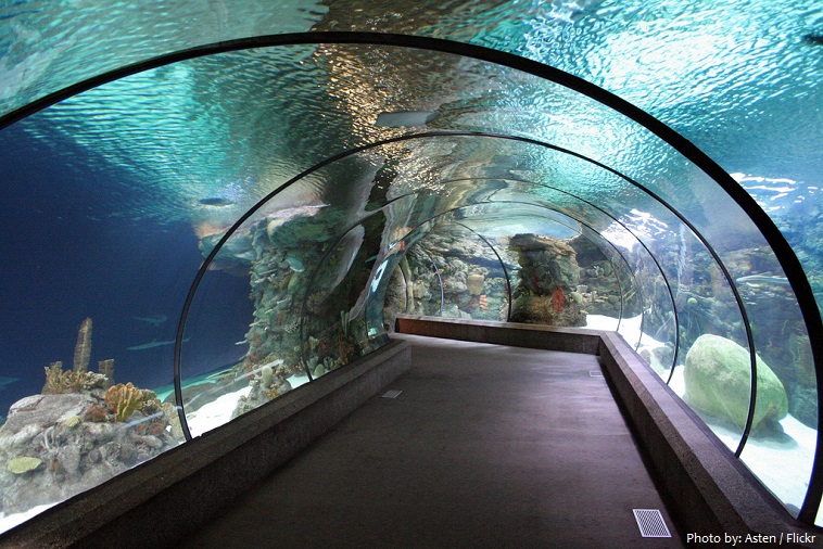omaha's henry doorly zoo and aquarium