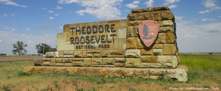theodore roosevelt national park