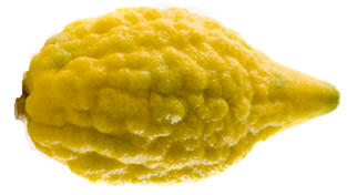 citron-2