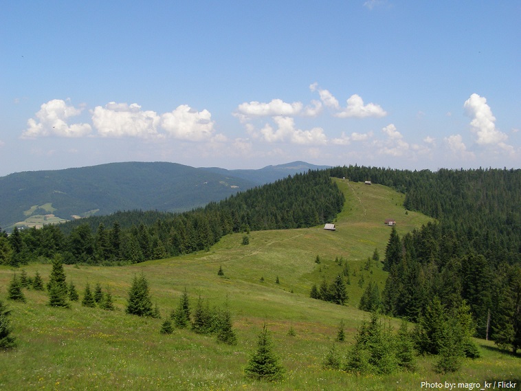 carpathian-mountains-3
