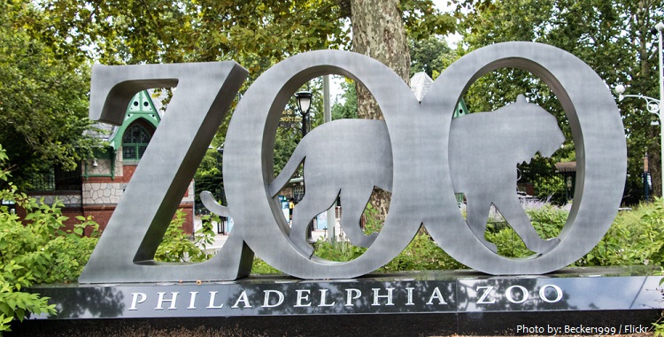 philadelphia zoo