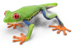 tree-frog-5