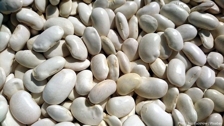 common-beans-2