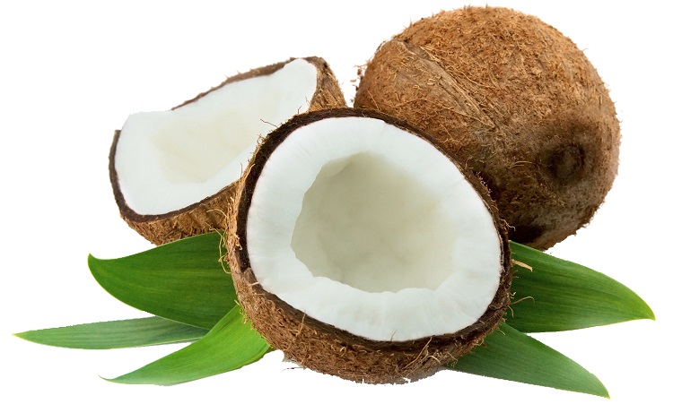 coconuts-2