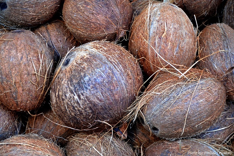 coconuts-4