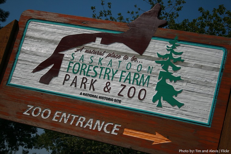 saskatoon forestry farm park and zoo