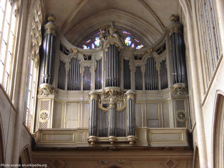 organ pipe