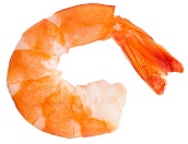 shrimp-5