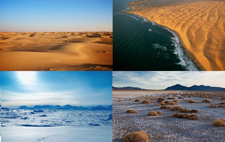 four desert types