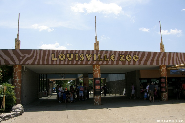 louisville zoo