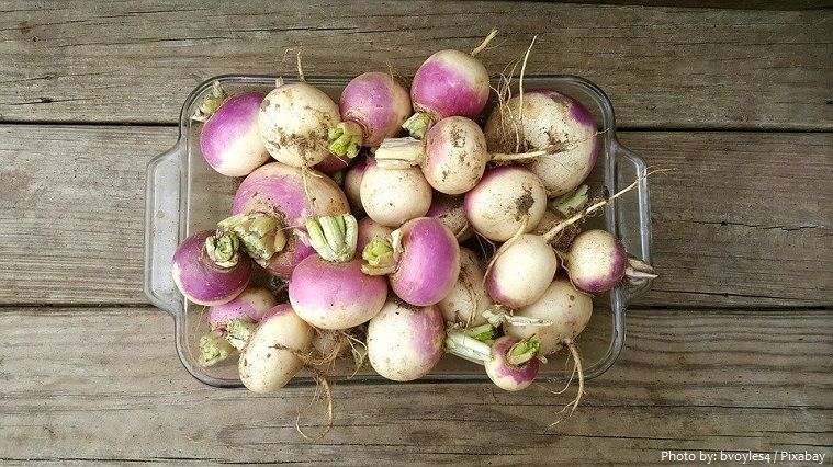 turnips-3