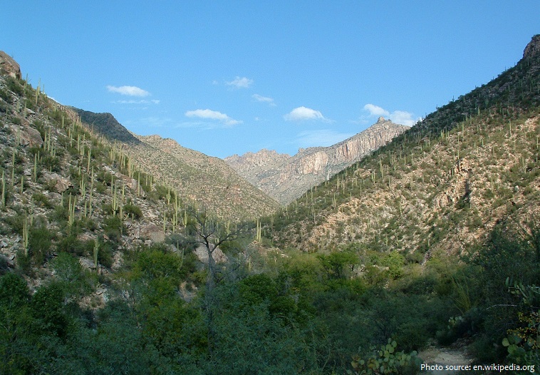 sabino canyon
