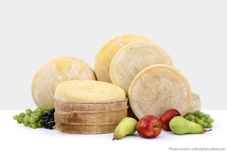 cheddar-cheese-5