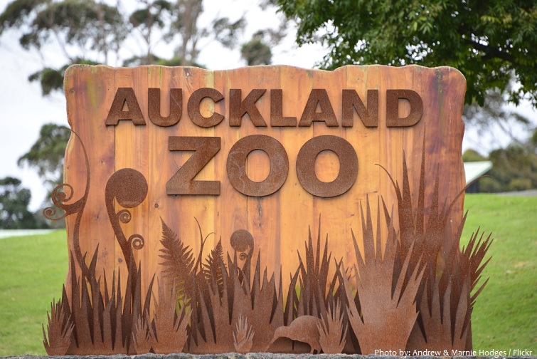 auckland zoo