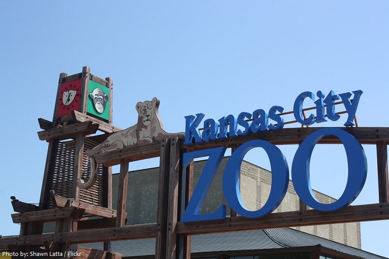 kansas city zoo