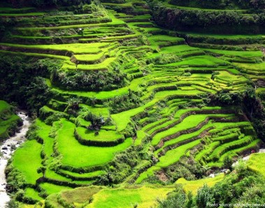 Interesting facts about terraces (earthworks)