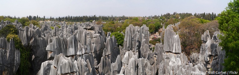 stone-forest-3