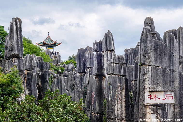 stone forest
