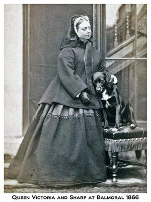 queen victoria and her border collie