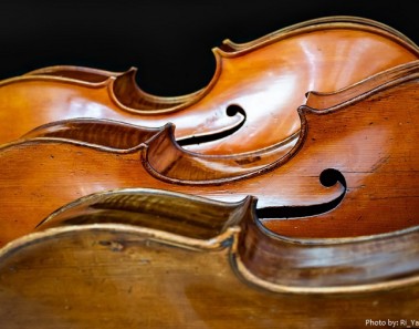 Interesting facts about cellos