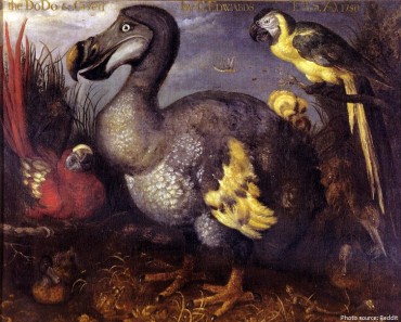 dream of dodo meaning