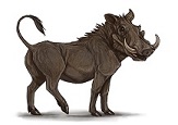 warthog-8