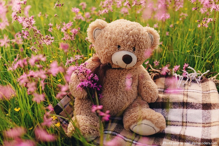 Interesting facts about teddy bears | Just Fun Facts
