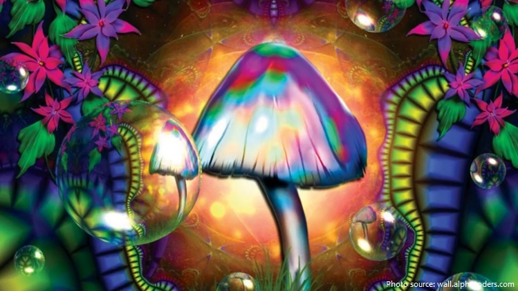 Interesting about Psychedelic | Just Fun Facts